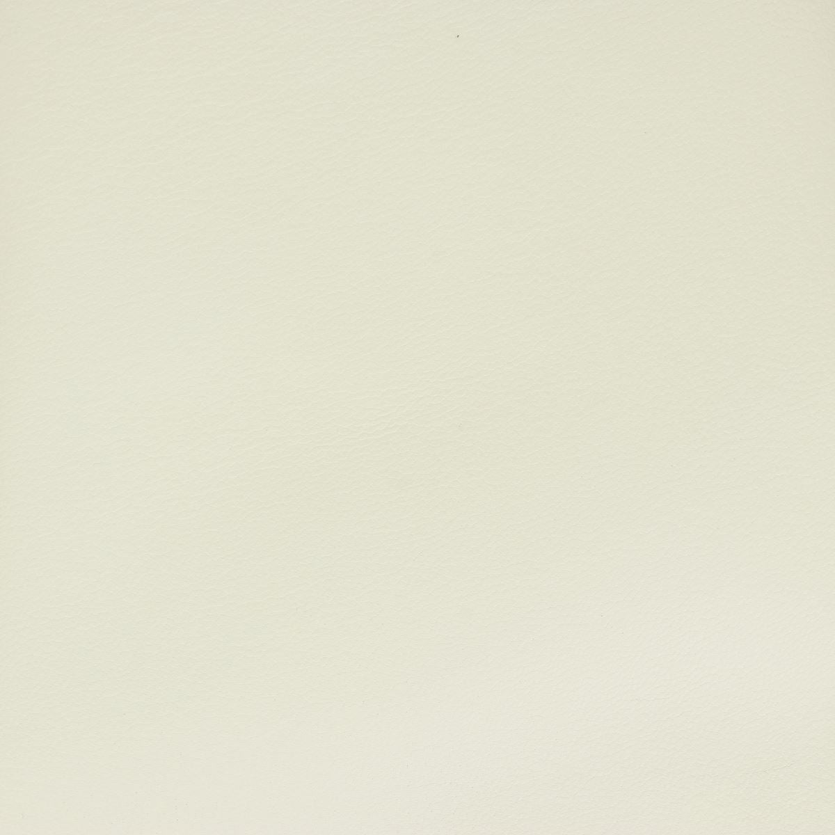 Peau de cuir de chèvre grainé - BLANC CASSÉ O49