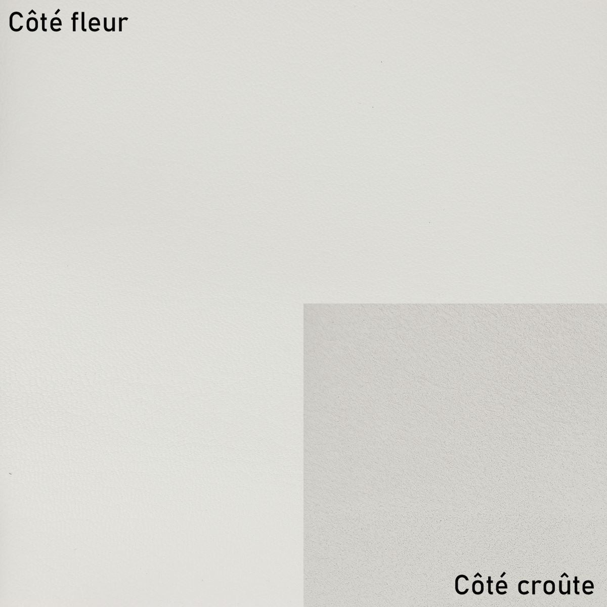 Peau de cuir de chèvre grainé - BLANC CASSÉ MAT O52