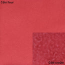 Peau de cuir de veau grain caviar - ROUGE MAT O61