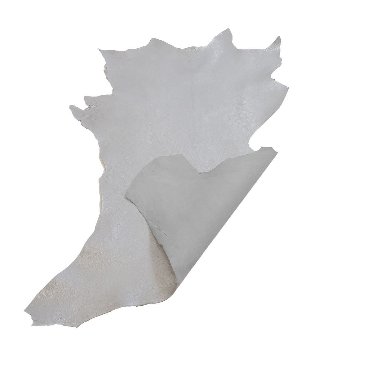 Peau de cuir de chèvre grainé - ARGENT O71