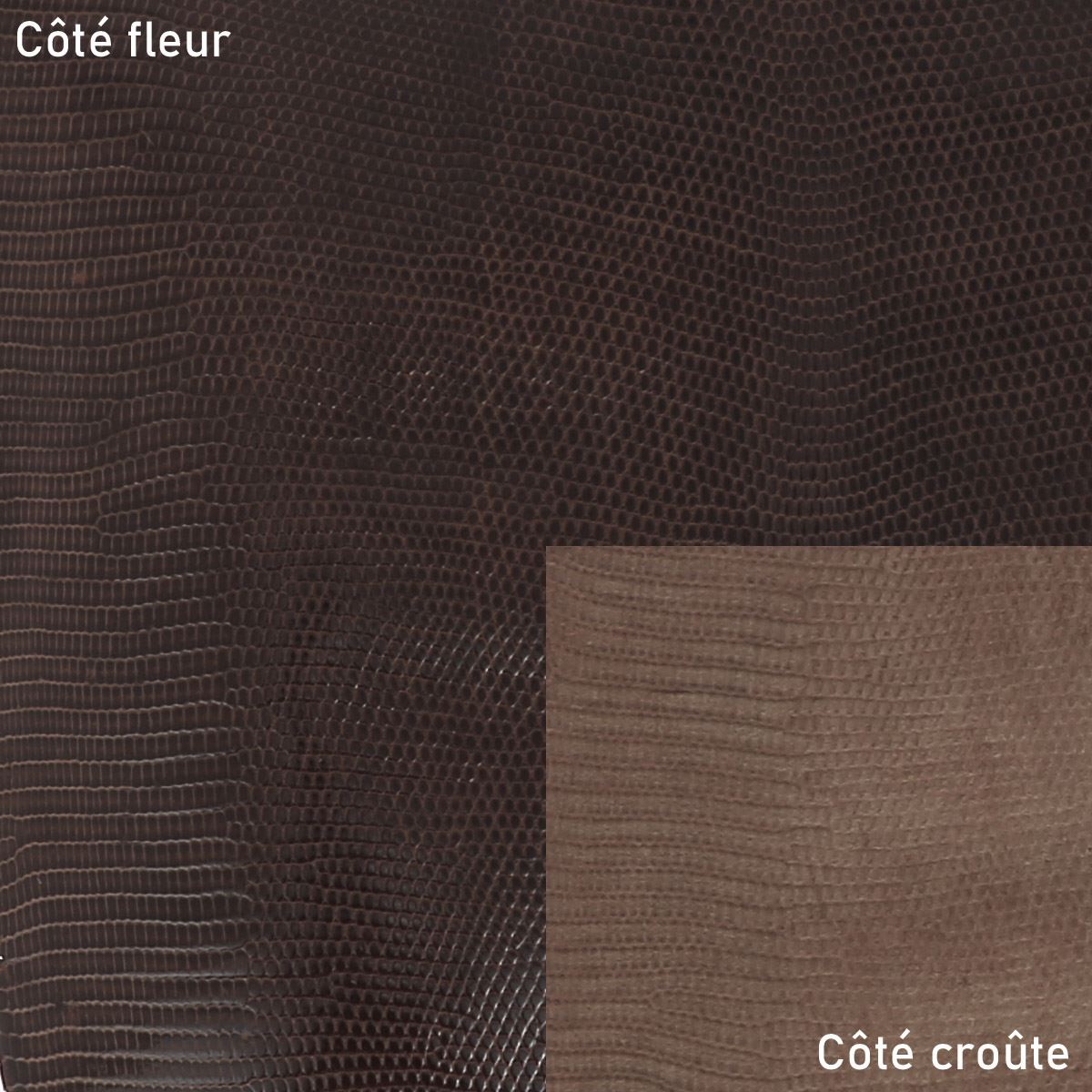 Peau de cuir de lézard - BRUN FONCÉ BRILLANT O81 - 17cm - 2'choix - Deco Cuir