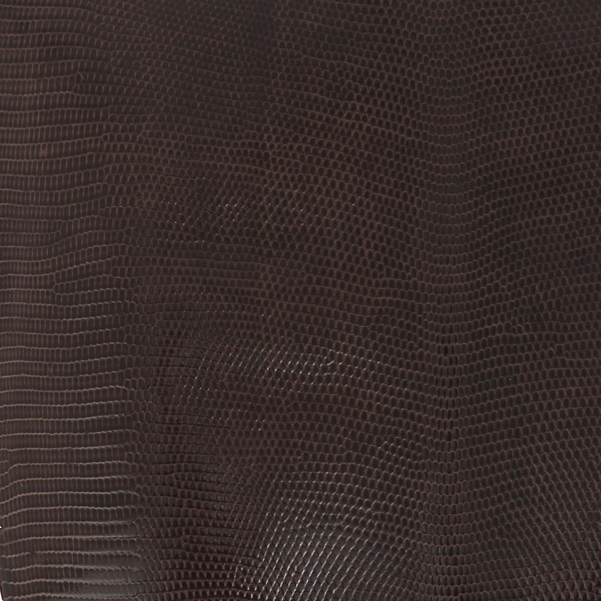Peau de cuir de lézard - BRUN FONCÉ BRILLANT O81 - 17cm - 2'choix - Deco Cuir