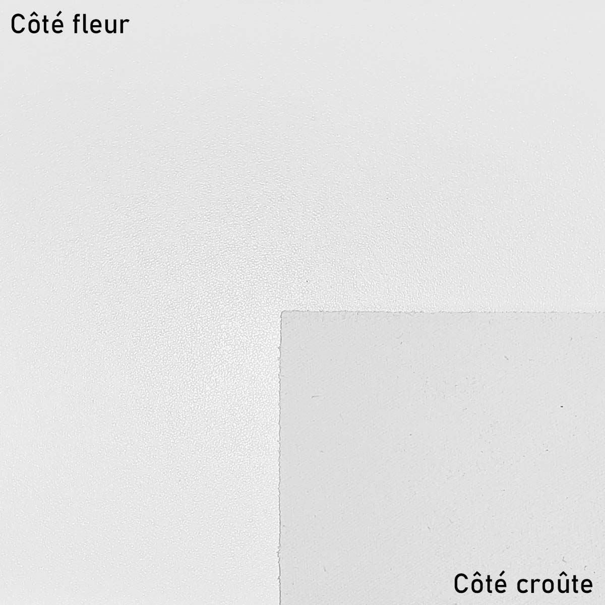 Peau de cuir de chèvre nappa - BLANC MAT P22