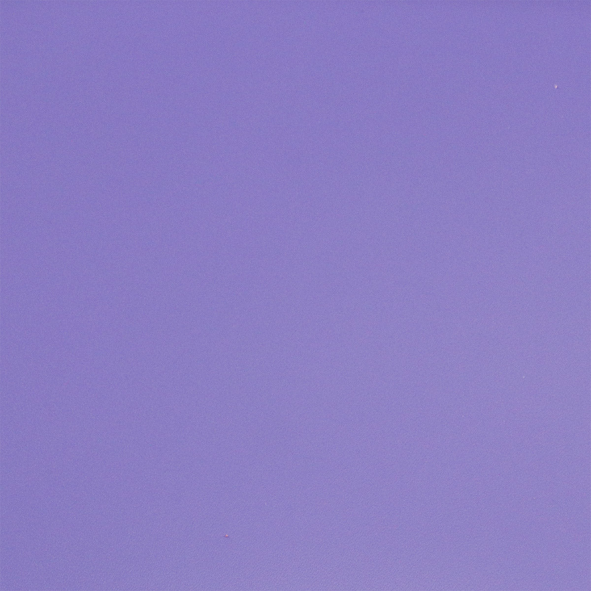 Peau de cuir de vachette lisse et ferme - VIOLET P48