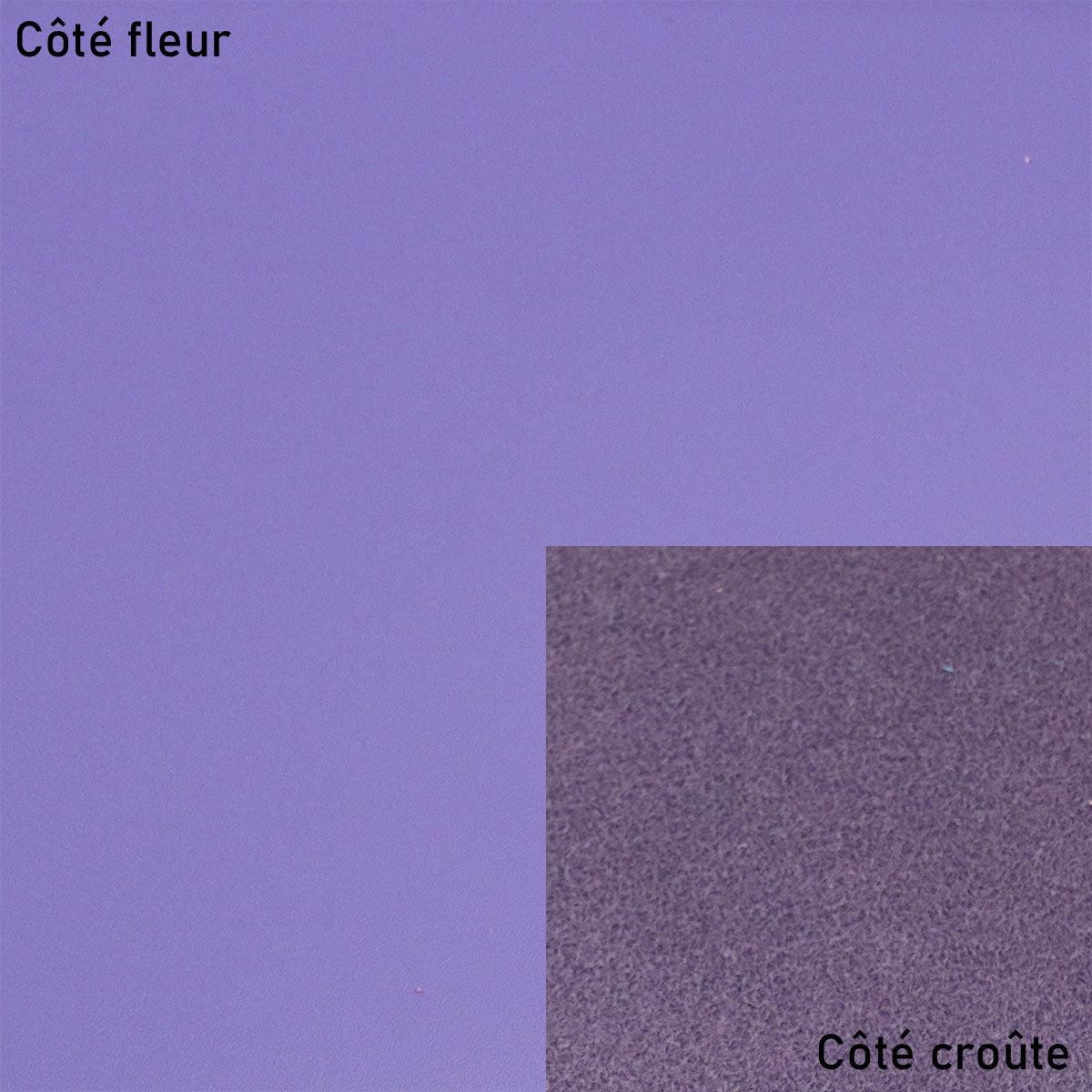 Peau de cuir de vachette lisse et ferme - VIOLET P48