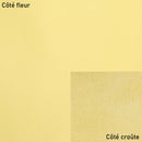 Peau de cuir de veau lisse - JAUNE PÂLE P50 - Deco Cuir