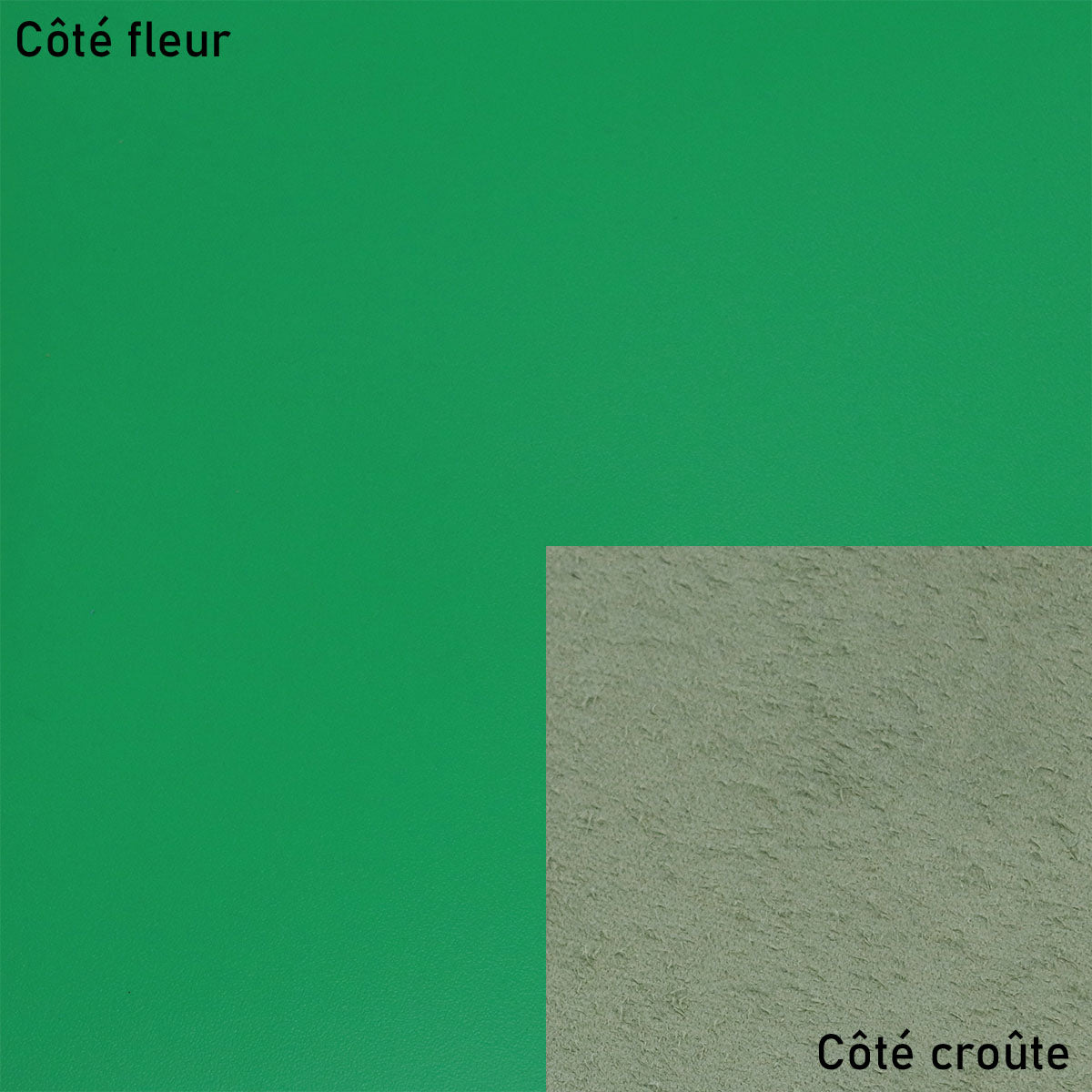 Peau de cuir de vachette lisse et ferme - VERT P52