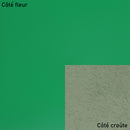Peau de cuir de vachette lisse et ferme - VERT P52