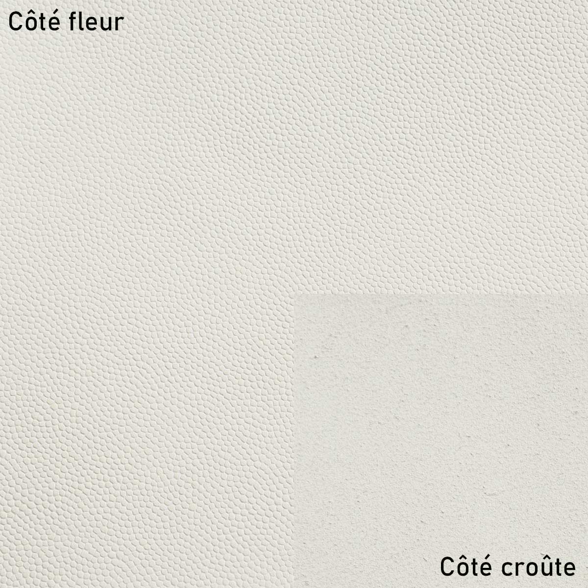 Peau de cuir de veau petit grain caviar - BLANC CASSÉ P59