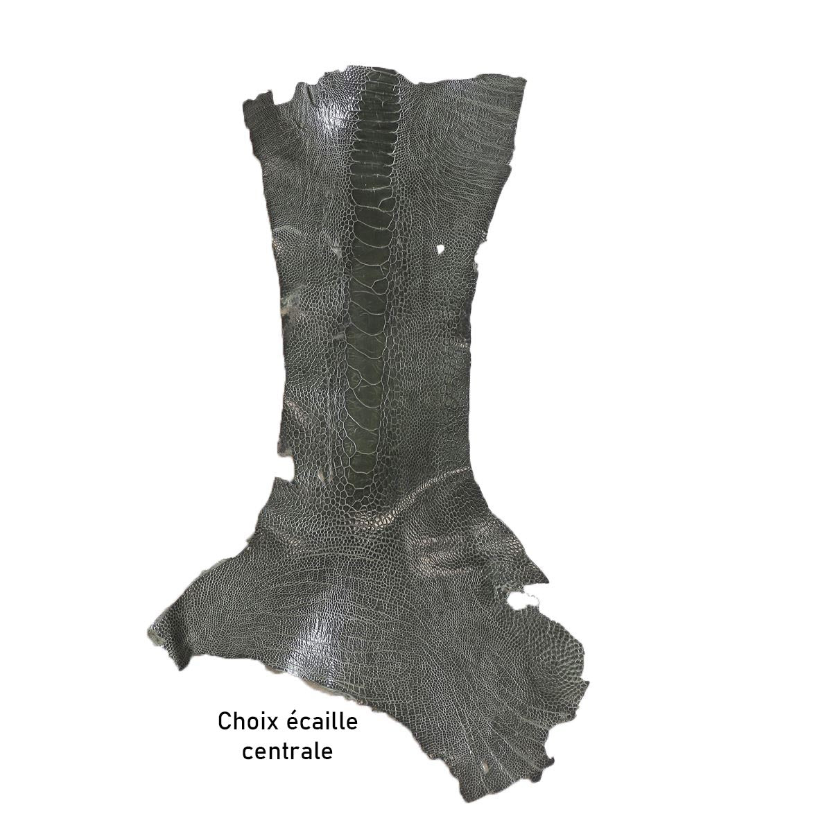 Peau de patte d'Autruche - Ép 0,8mm - VERT P77 - Deco Cuir