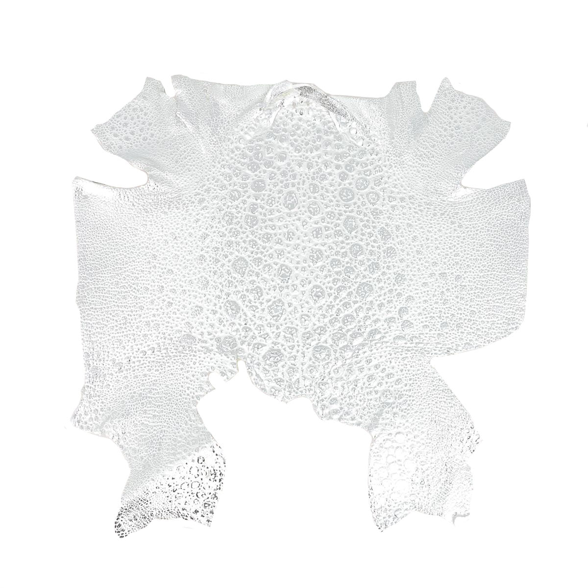 Peau de cuir de crapaud - BLANC & ARGENT P81 - Deco Cuir