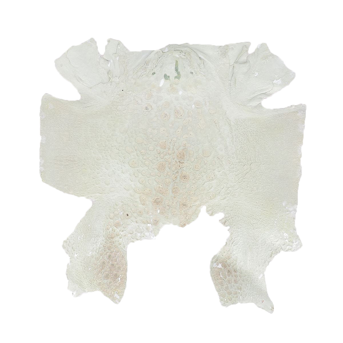 Peau de cuir de crapaud - BLANC & ARGENT P81 - Deco Cuir