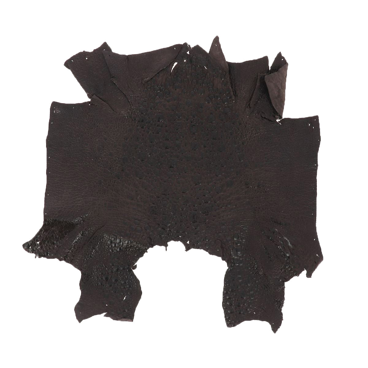 Peau de cuir de crapaud - CHOCOLAT P86 - Deco Cuir