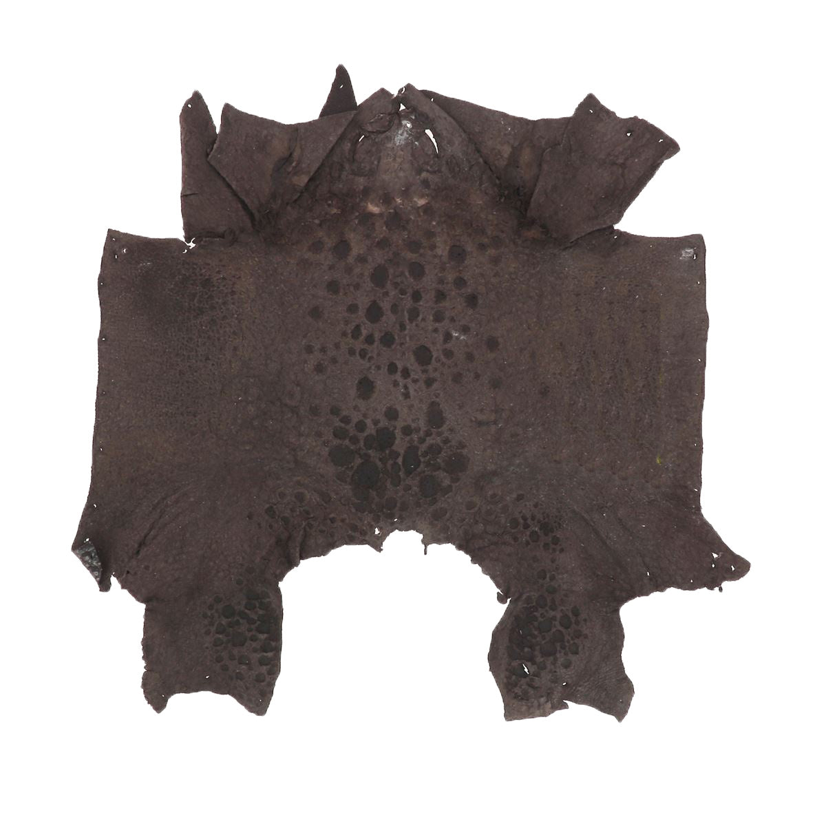 Peau de cuir de crapaud - CHOCOLAT P86 - Deco Cuir