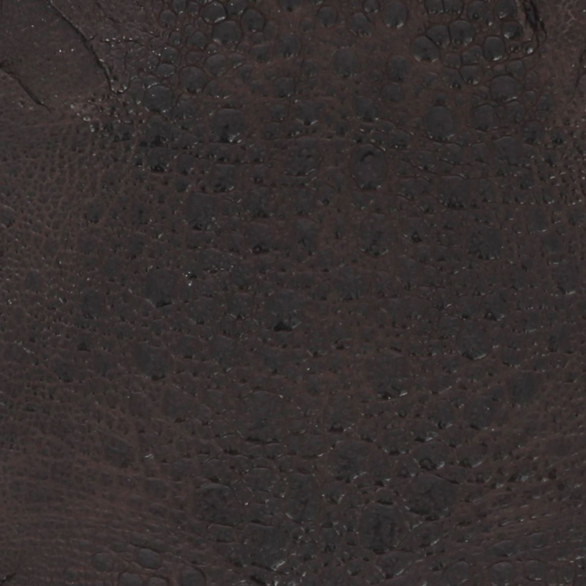 Peau de cuir de crapaud - CHOCOLAT P86 - Deco Cuir