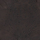 Peau de cuir de crapaud - CHOCOLAT P86 - Deco Cuir