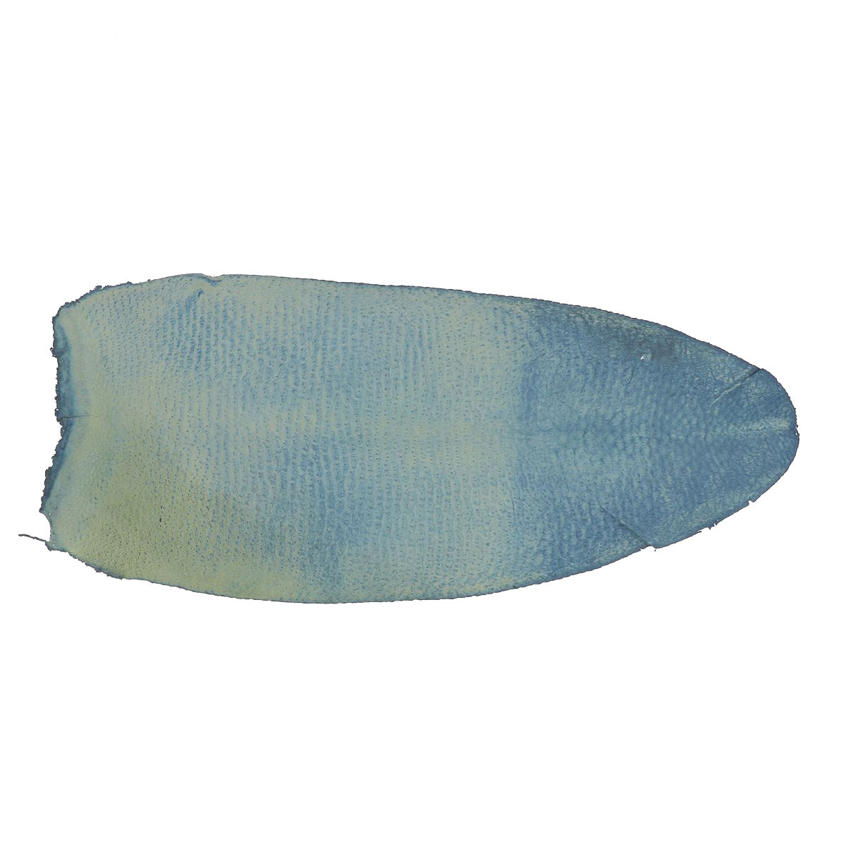 Cuir de queue de Castor - BLEU MARINE P92 - Deco Cuir