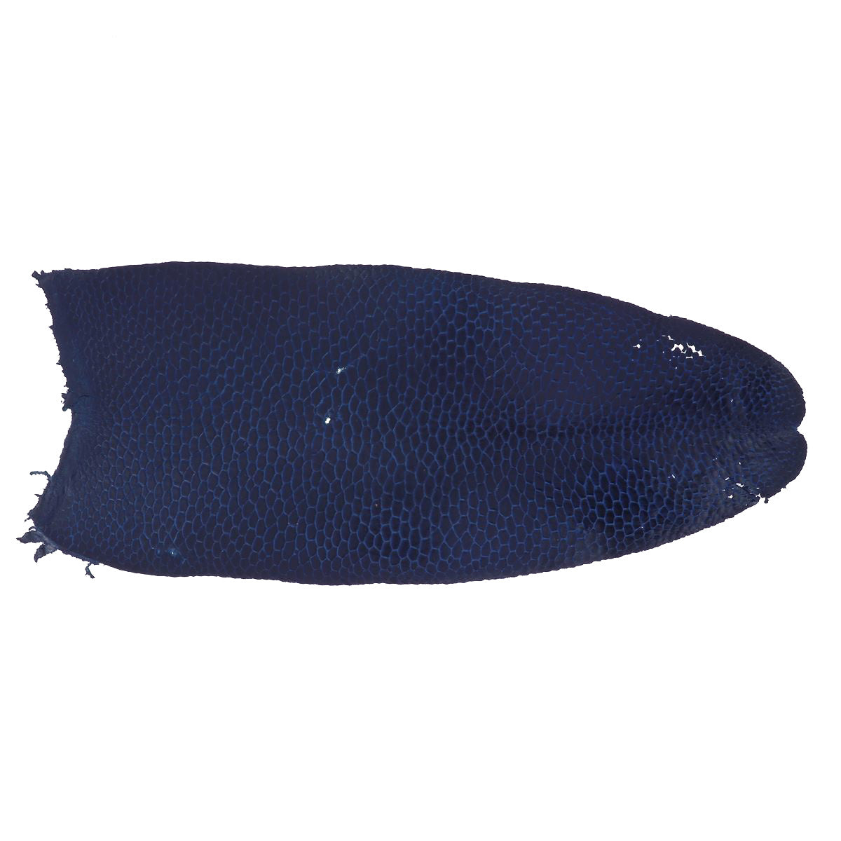 Cuir de queue de Castor - BLEU MARINE P92 - 2'choix - Deco Cuir