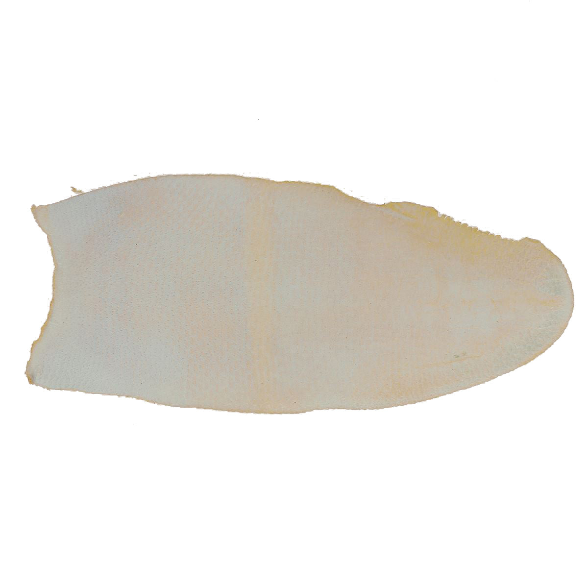 Cuir de queue de Castor - JAUNE MOUTARDE P94 - Deco Cuir