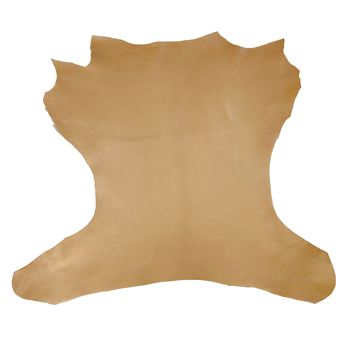 Peau de cuir de chèvre grainé - OR Q06