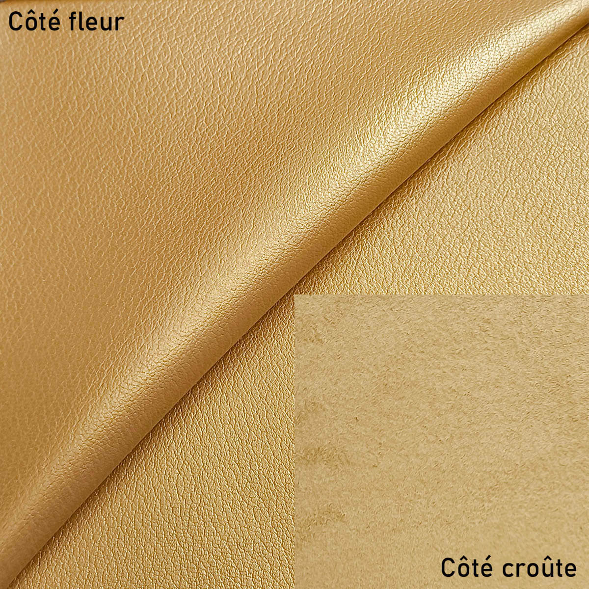 Peau de cuir de chèvre grainé - OR Q06