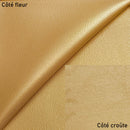 Peau de cuir de chèvre grainé - OR Q06