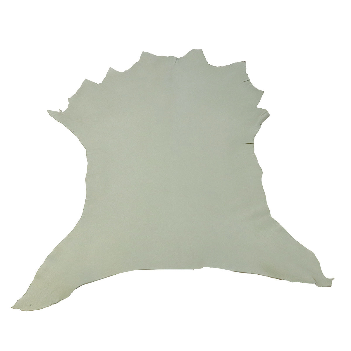 Peau de cuir de chèvre vert tilleul 09