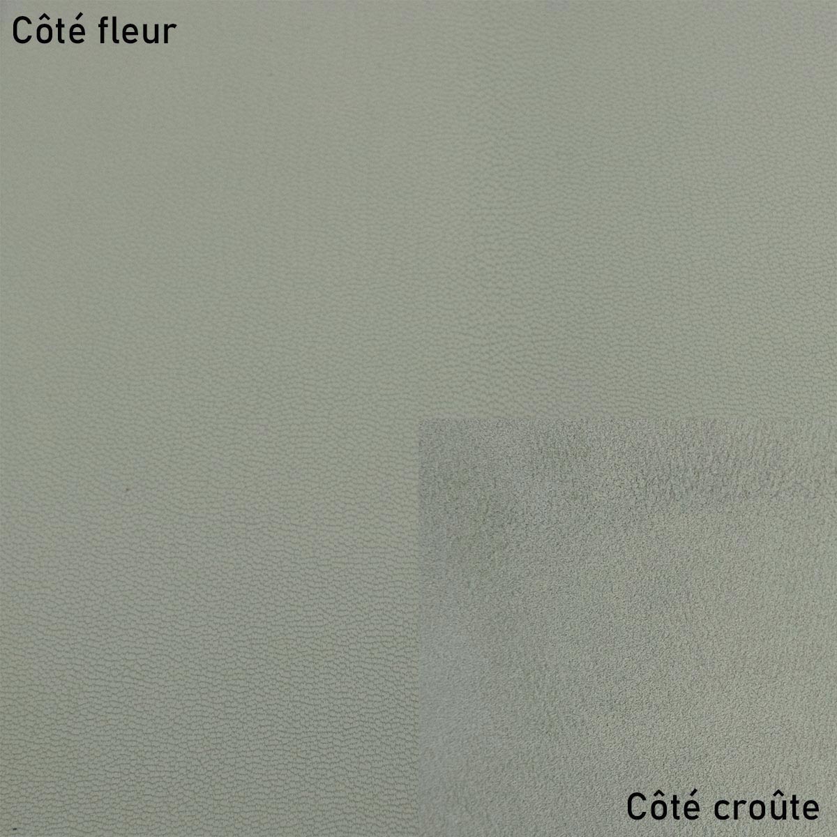 Peau de cuir de chèvre vert tilleul 09