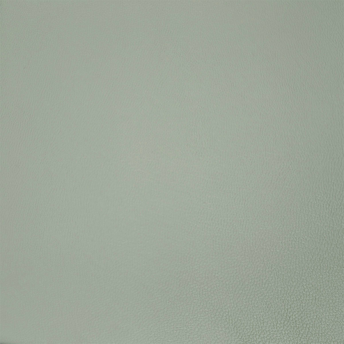 Peau de cuir de chèvre grainé - GRIS SOURIS Q13