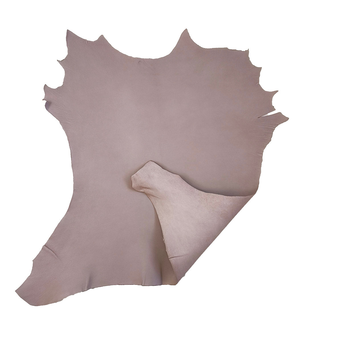 Peau de cuir de chèvre grainé - TAUPE CLAIR Q15