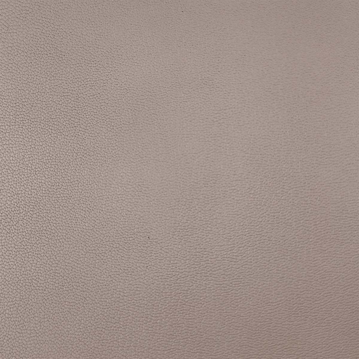 Peau de cuir de chèvre grainé - TAUPE CLAIR Q15