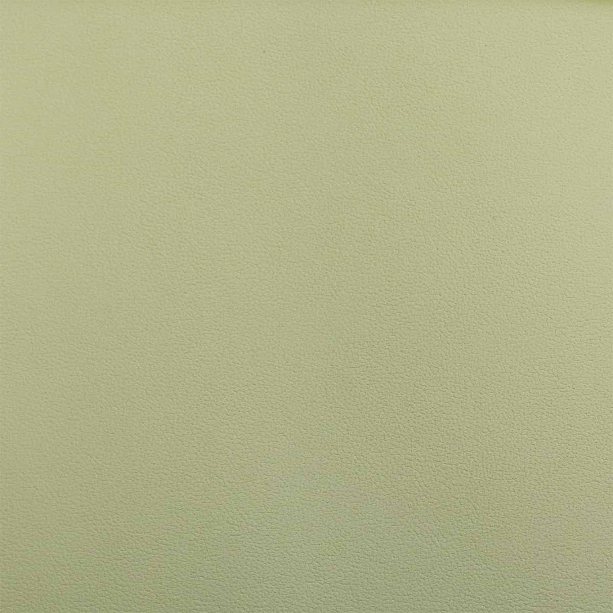 Peau de cuir d'agneau nappa - BEIGE VERT Q44