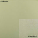 Peau de cuir d'agneau nappa - BEIGE VERT Q44