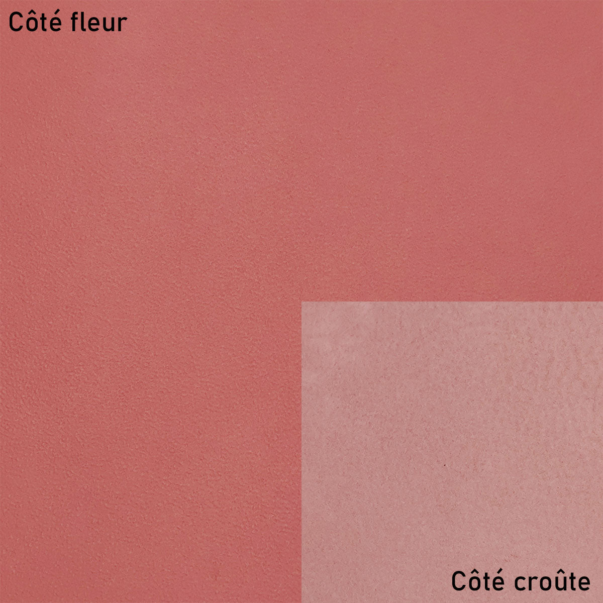 Peau de cuir d'agneau nappa - ROSE Q58