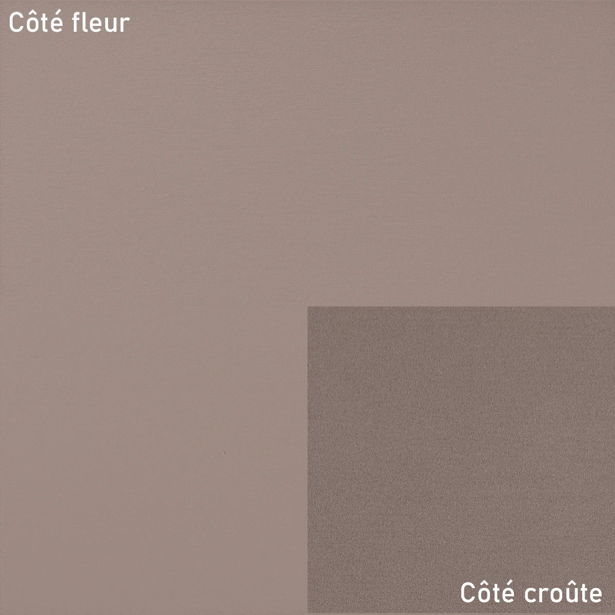 Cuir taupe lisse - Vachette