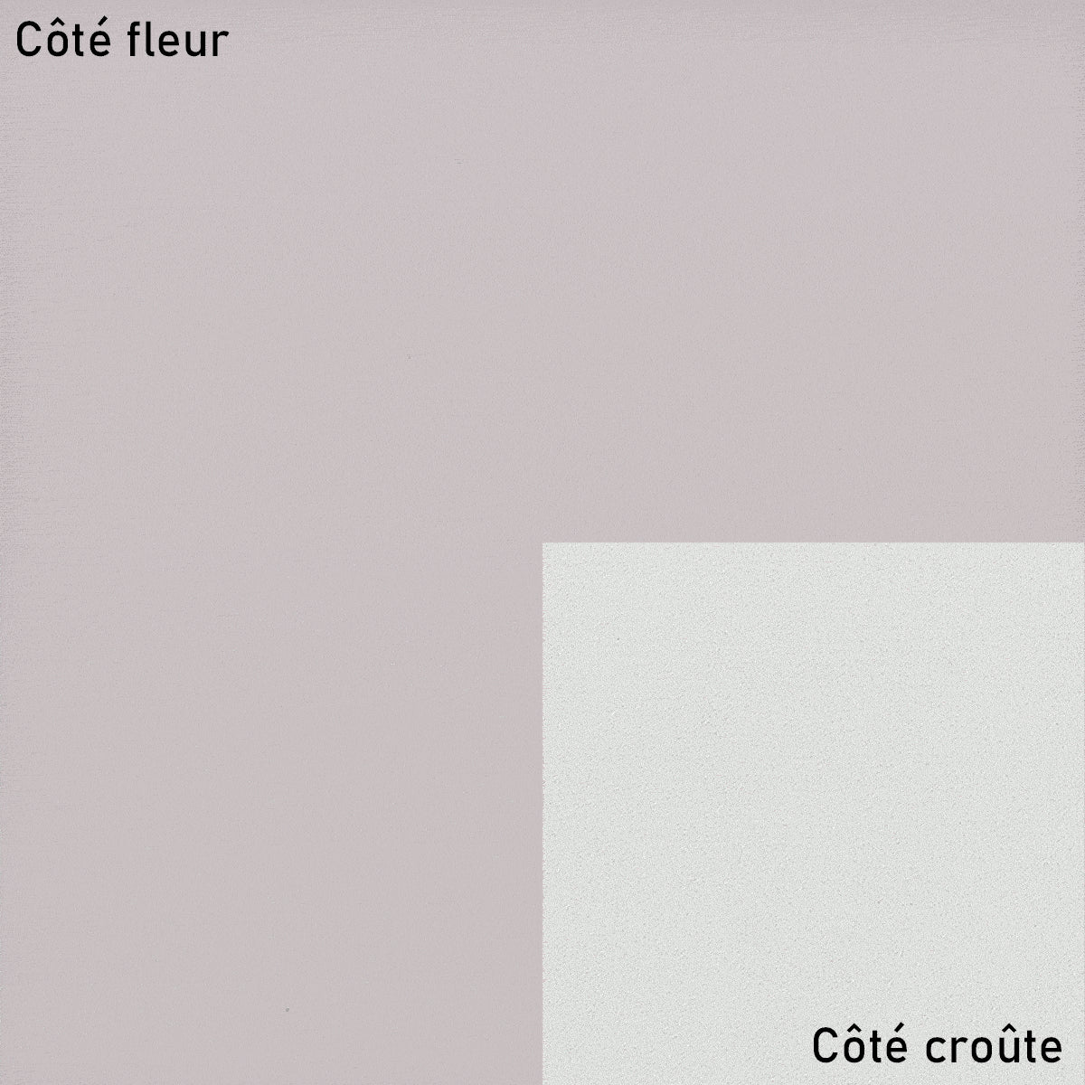 Cuir de vachette lisse et ferme