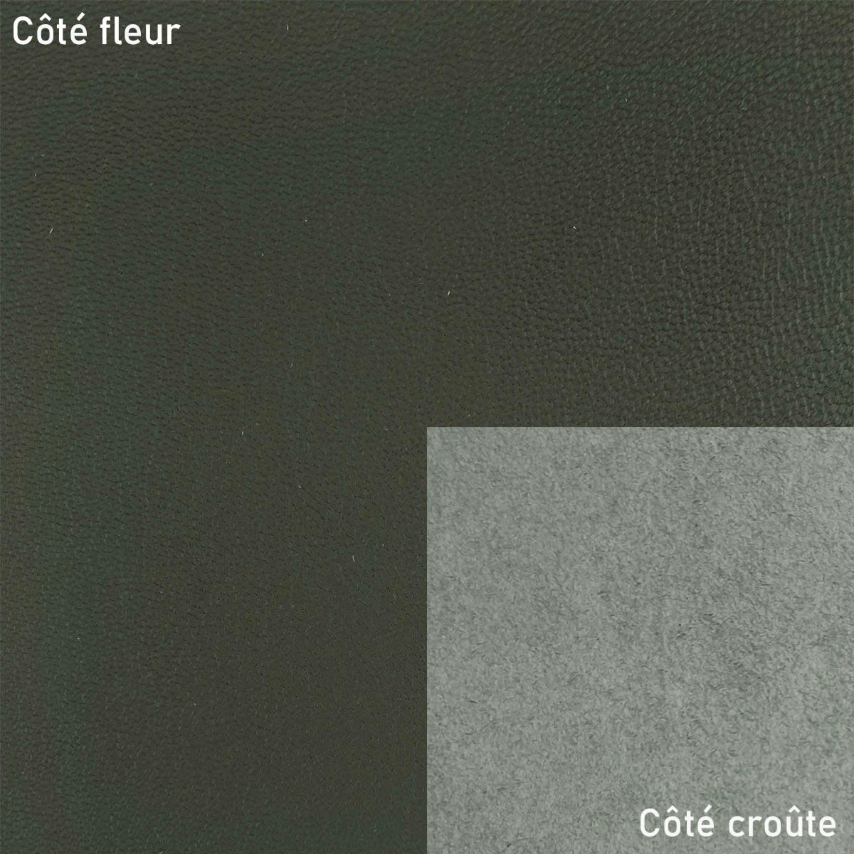 Peau de cuir de chèvre grainé - VERT FONCÉ Q97