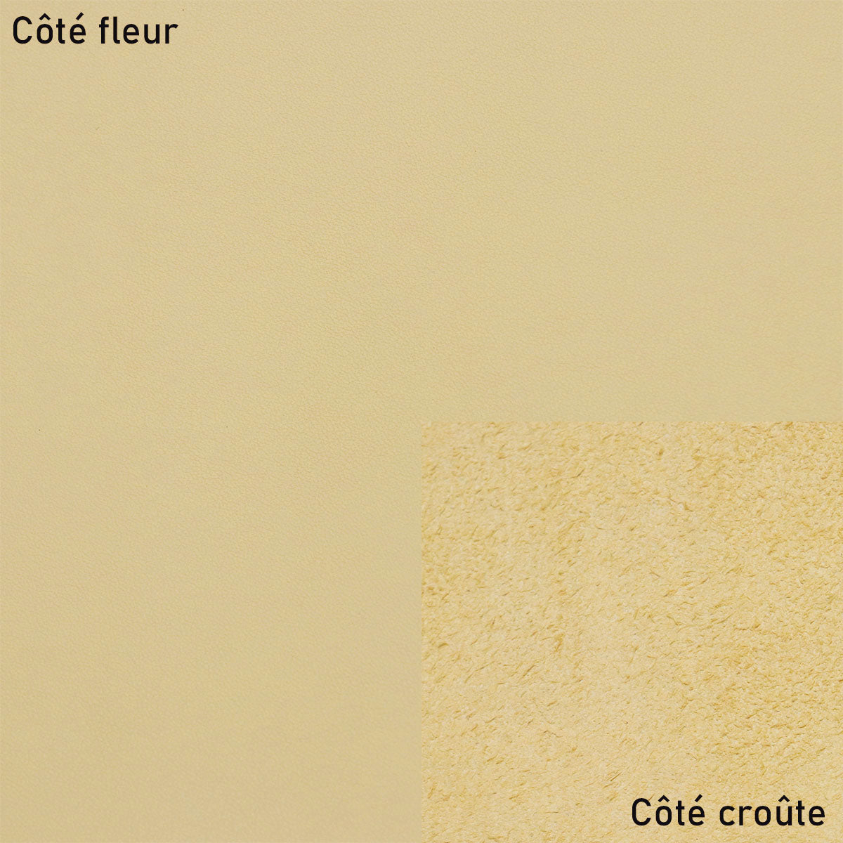 Peau de cuir de vachette SUAVE - VANILLE R14