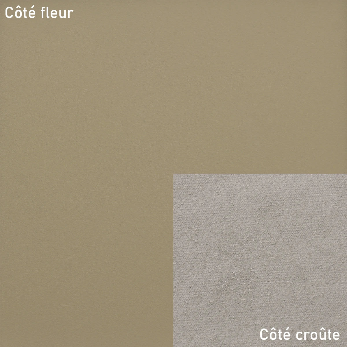 LPR16_peau_cuir_lisse_grege_fleur