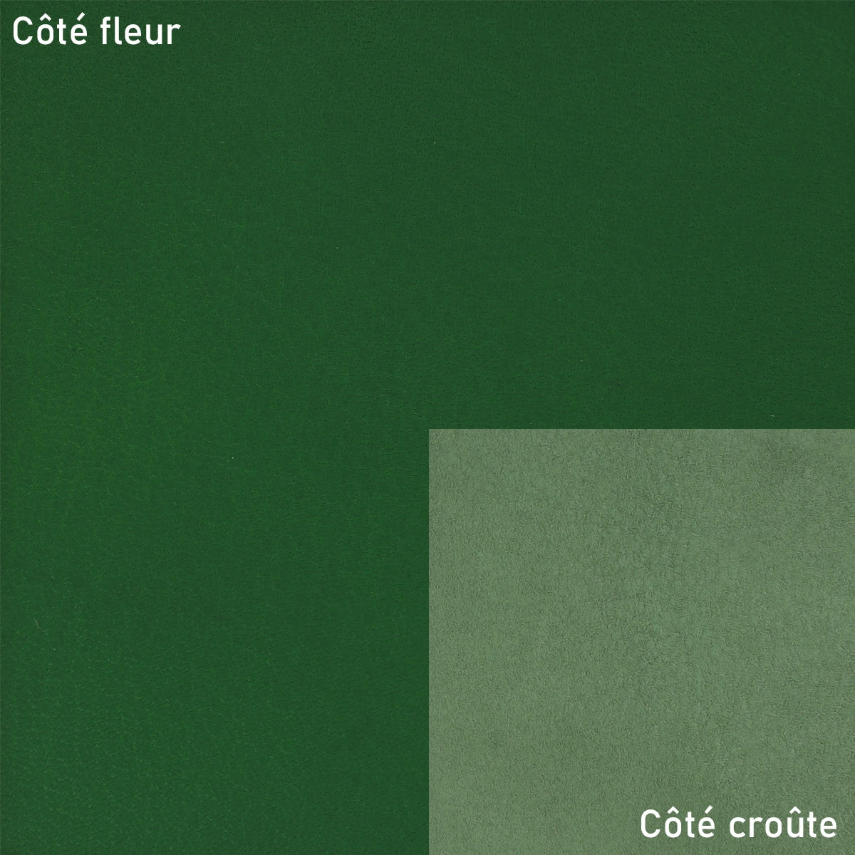 Cuir de chèvre grain fin vert