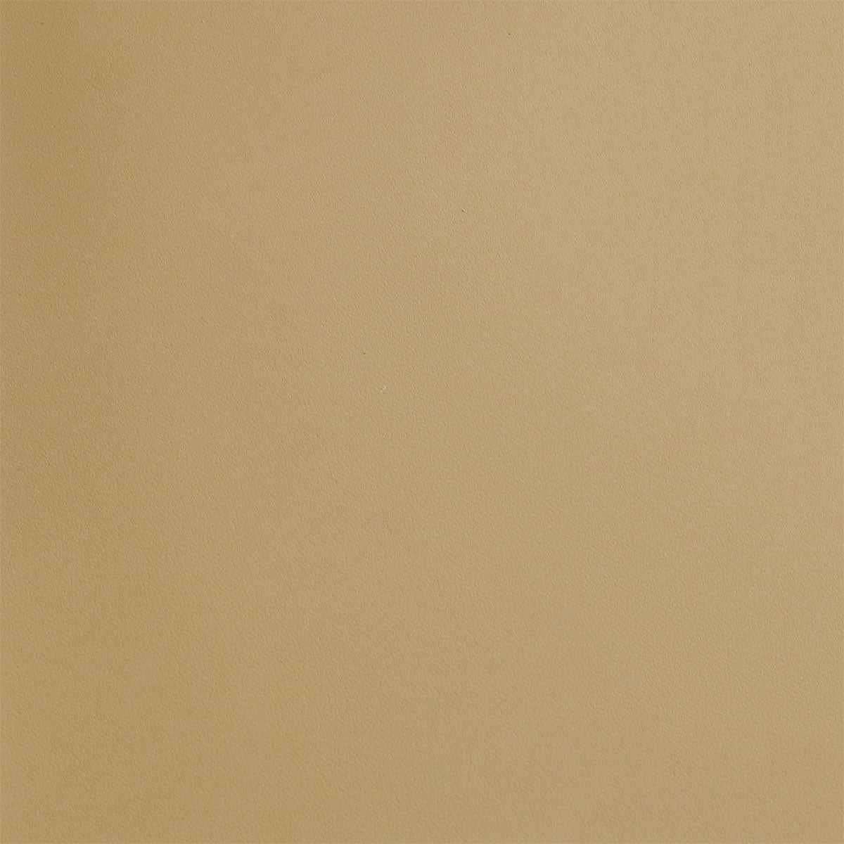 Bande de cuir tannage végétal - TAN R42 - Épaisseur 2mm