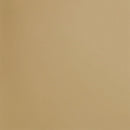 Bande de cuir tannage végétal - TAN R42 - Épaisseur 2mm