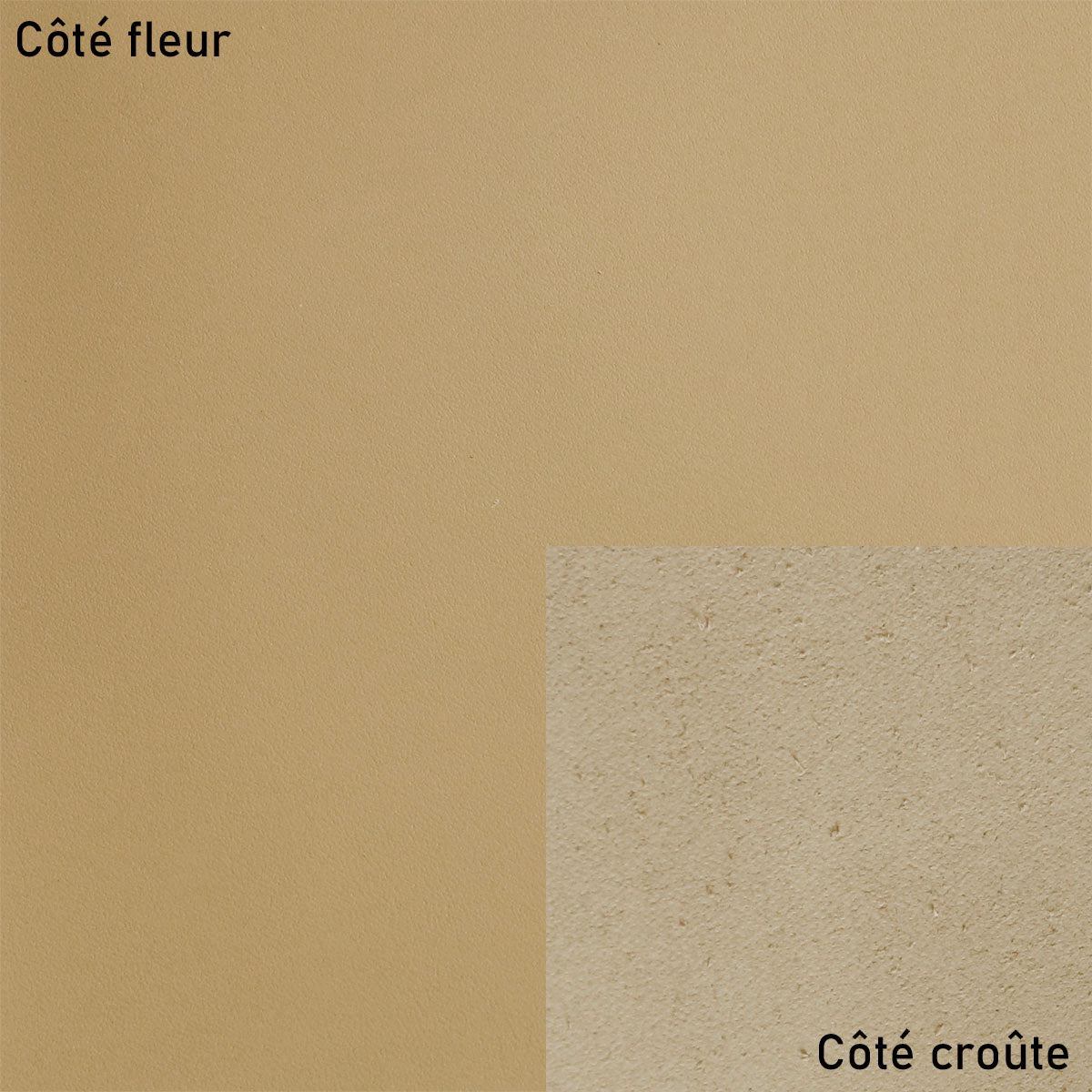 Bande de cuir tannage végétal - TAN R42 - Épaisseur 2mm