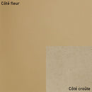 Bande de cuir tannage végétal - TAN R42 - Épaisseur 2mm