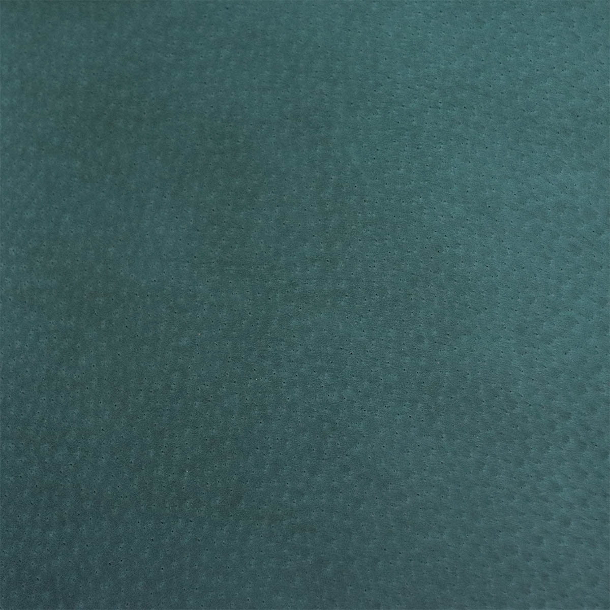 Peau de cuir de porc glacé - VERT CANARD R48