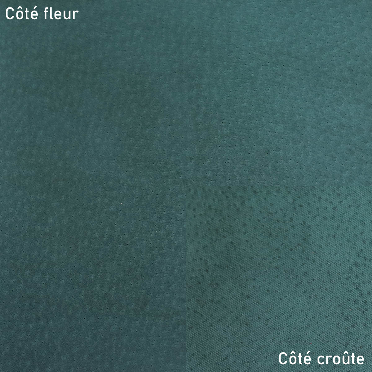 Peau de cuir de porc glacé - VERT CANARD R48