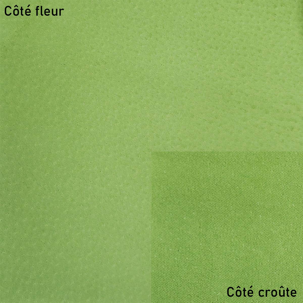 Peau de cuir de porc glacé - VERT POMME R49