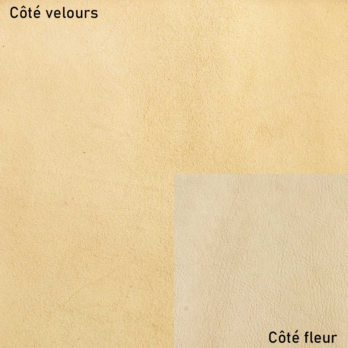 Peau de croûte de cuir de chèvre velours - BEIGE R66