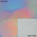 Cuir de chèvre lisse - argent effet kaléidoscope R67 - Deco cuir