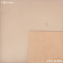 Cuir de vachette lisse beige nude, cuir de 2ème choix car il présente quelques défauts visibles sur la peau mais reste tout à fait exploitable pour la création de test, prototype, petit projet...